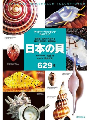 cover image of 日本の貝:温帯域･浅海で見られる種の生態写真+貝殻標本: 本編